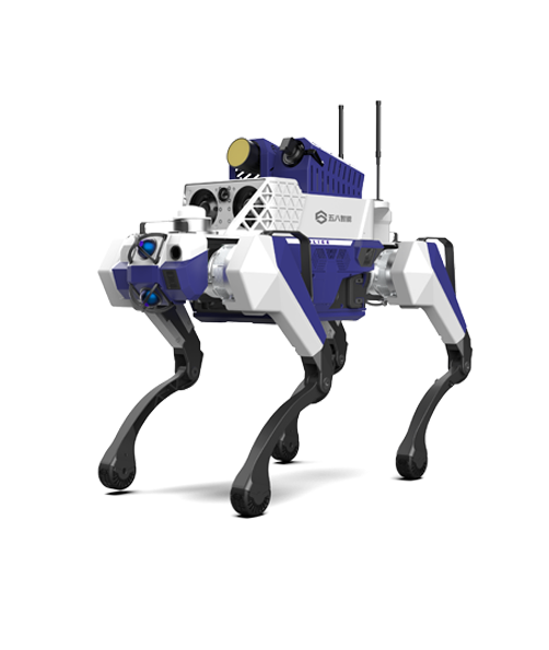 /ueditor/image/20250526/1748244074919501/f94f8fbb21e2ad8e1cb84320a60329e9.png